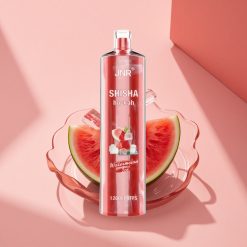 JNR Shisha Hookah 12000 Wassermelone Eis 24ml 750mAh Typ-C