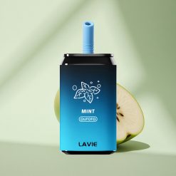 Lavie Aurora 11000 Puffs Minze 22ML Typ C 650mAh