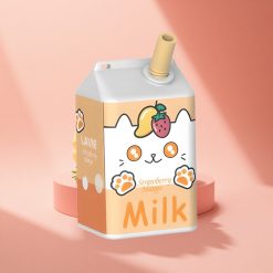 Lavie Milk 7000 Puffs Erdbeer-Mango 16ML Typ C 600mAh