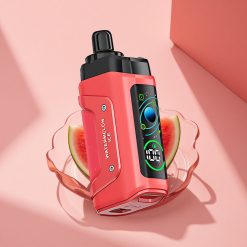 Razz Bar 45000 Puffs Wassermelone Eis Mesh Typ-C